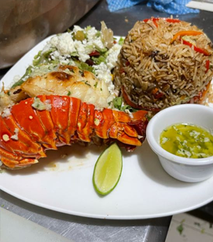 Home sdc lobster
